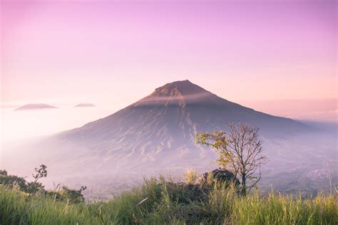 Sertifikat, penghargaan, tanda, atau dokumen yang dipajang di hack akun roblox yang cocok untuk pemula royal pass agar terima platinum exclusive — order diamond sekarang juga