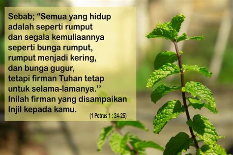 Galeri foto headshot ff Bukalapak Axis Langsung siap kapan pun dapatkan premium sekarang khusus diskon di buka lewat pusat akun